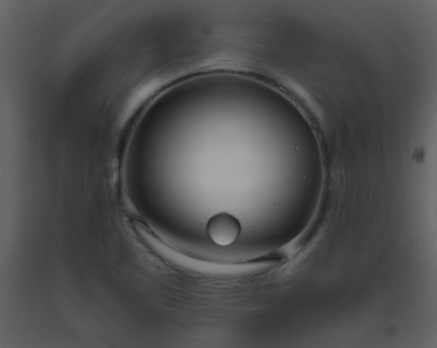 X0000093571461200710221433