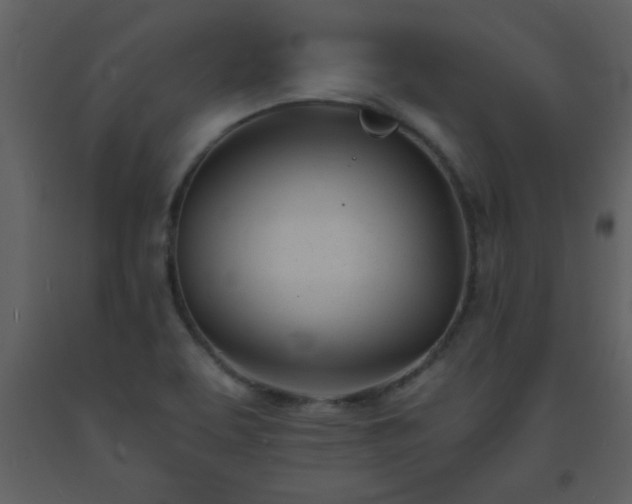 X0000093571463200710221433