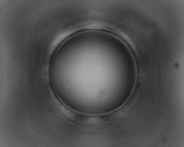 X0000093571464200710221433