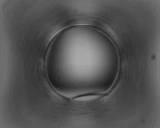 X0000093571465200710221433