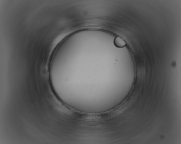 X0000093571466200710221433
