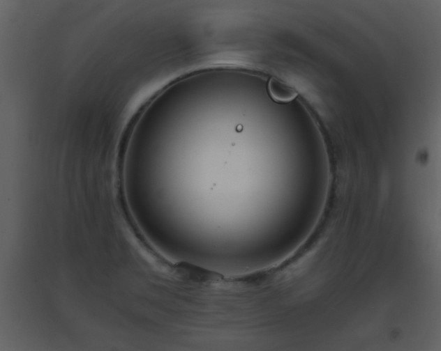 X0000093571469200710221433