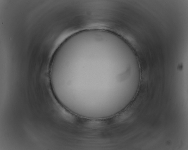 X0000093571470200710221433