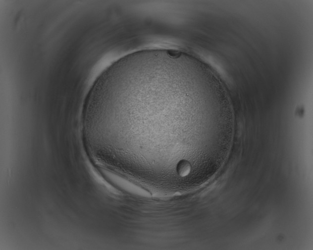 X0000093571471200710221433