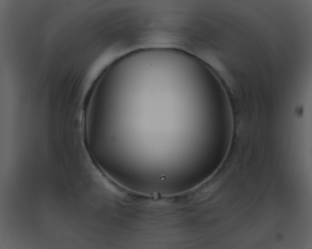 X0000093571472200710221433