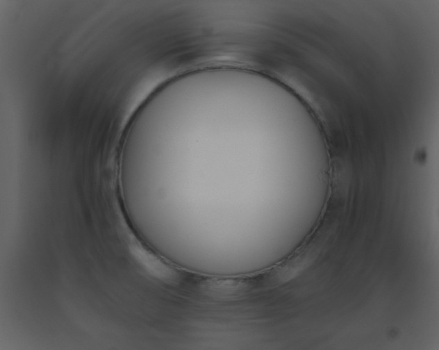 X0000093571474200710221433