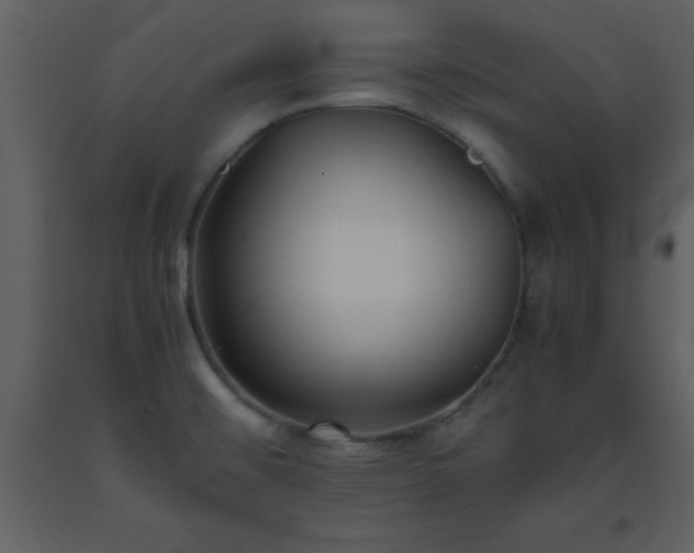 X0000093571476200710221433