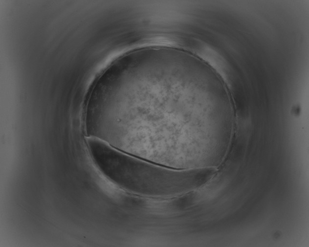 X0000093571477200710221433