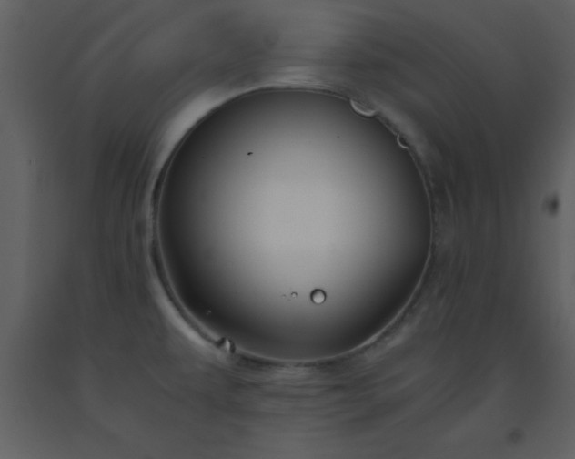 X0000093571479200710221433