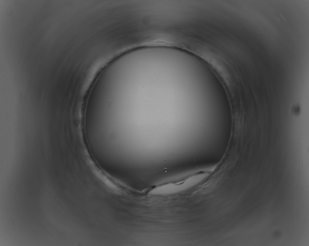 X0000093571480200710221433