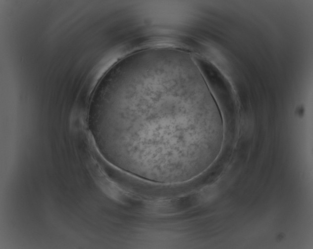 X0000093571481200710221433