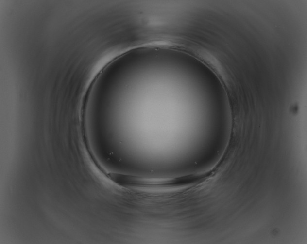 X0000093571483200710221433