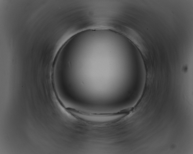 X0000093571484200710221433