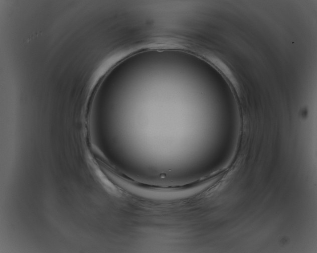 X0000093571485200710221433