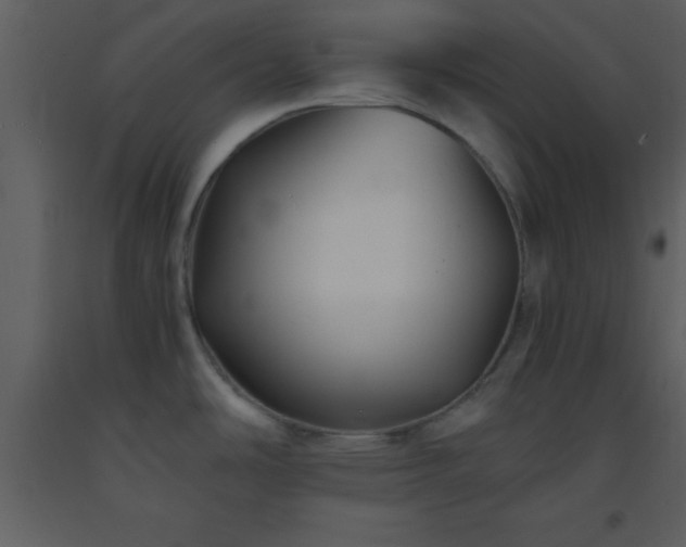 X0000093571486200710221433