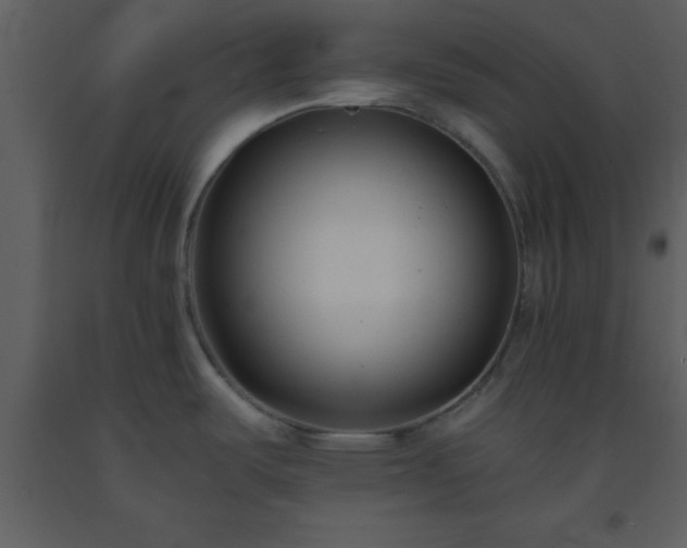 X0000093571487200710221433