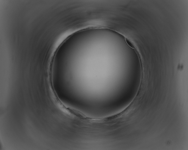 X0000093571488200710221433
