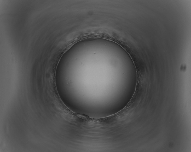 X0000093571489200710221432