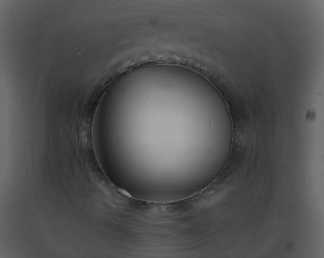 X0000093571490200710221432
