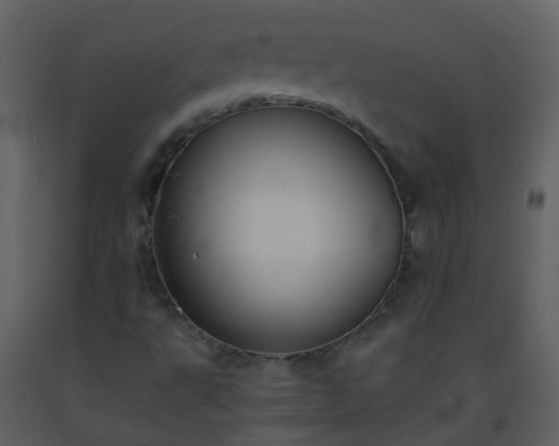 X0000093571495200710221432