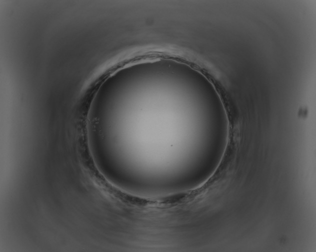X0000093571496200710221432