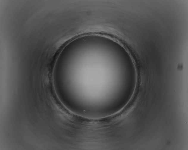 X0000093571497200710221432