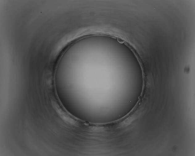 X0000093571499200710221432