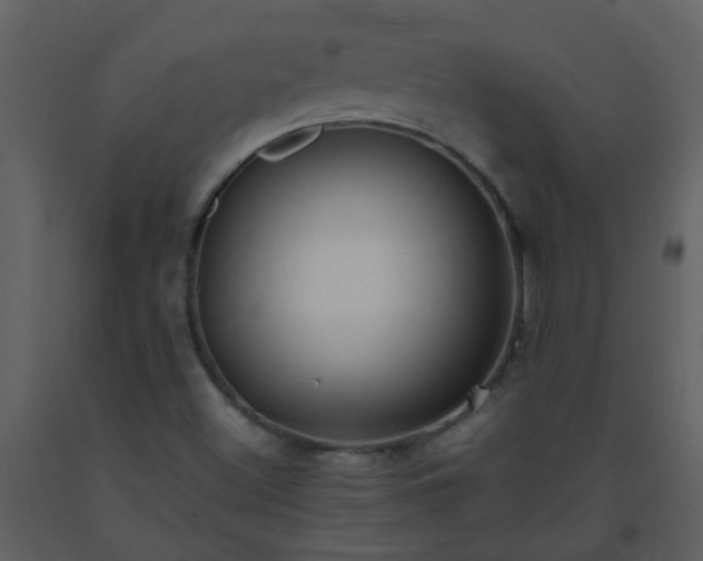 X0000093571500200710221432