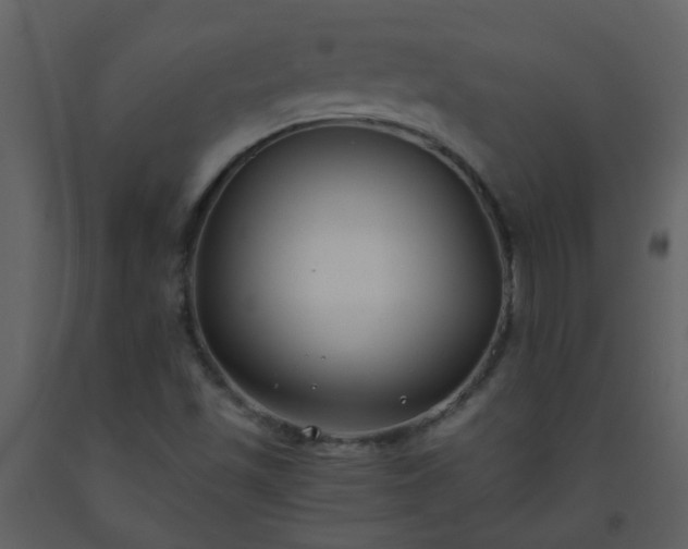 X0000093571501200710221432