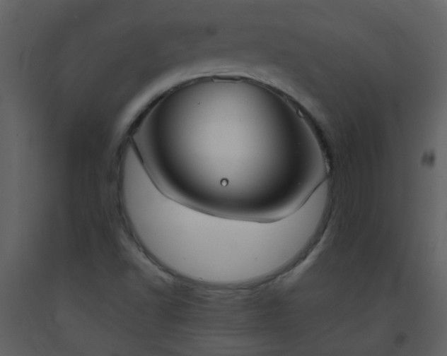 X0000093571502200710221432