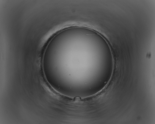 X0000093571503200710221432