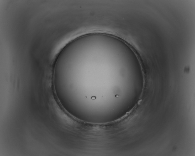 X0000093571504200710221432
