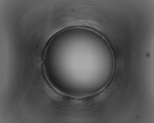 X0000093571505200710221432