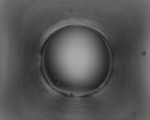 X0000093571507200710221432