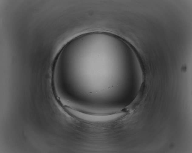 X0000093571508200710221432