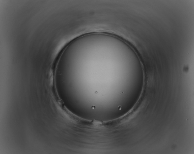 X0000093571509200710221432