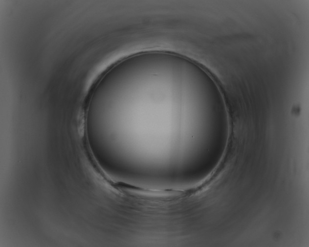 X0000093571510200710221432