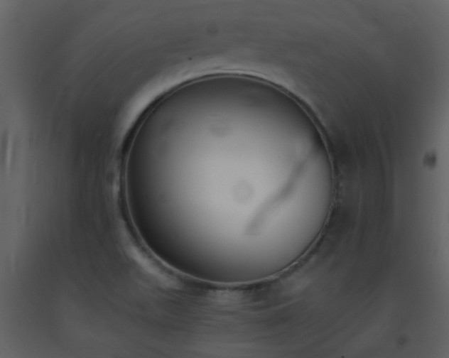 X0000093571511200710221432