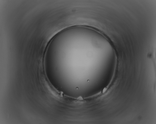 X0000093571513200710221432