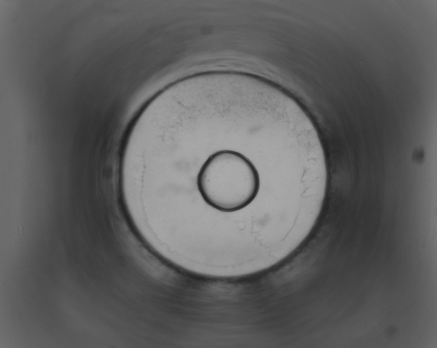 X0000093571514200710221432