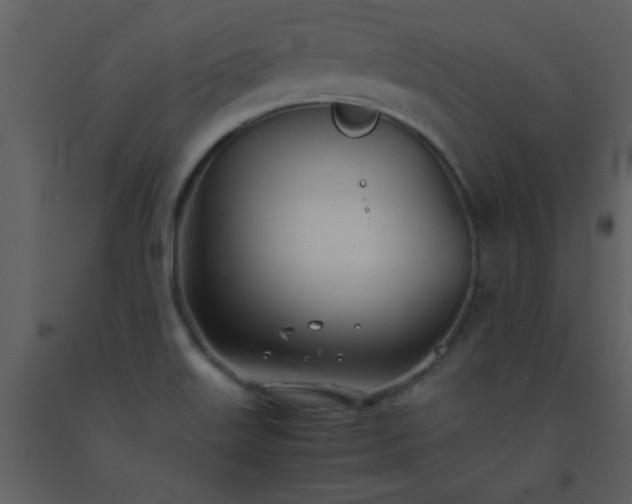 X0000093571515200710221432