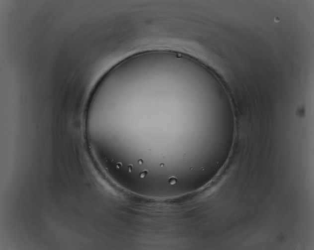 X0000093571517200710221432