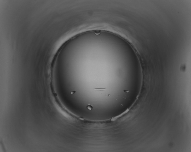 X0000093571519200710221433