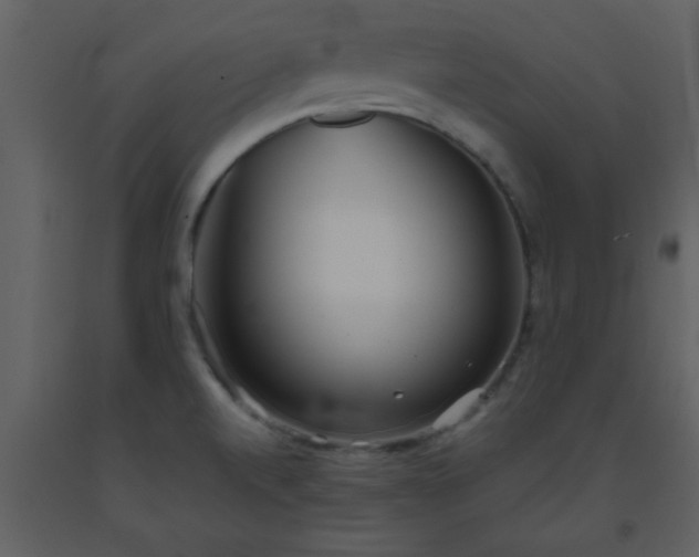 X0000093571520200710221433