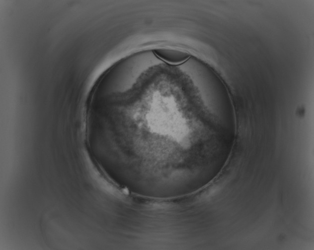 X0000093571522200710221433