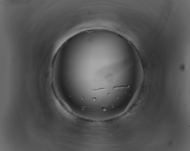 X0000093571524200710221433