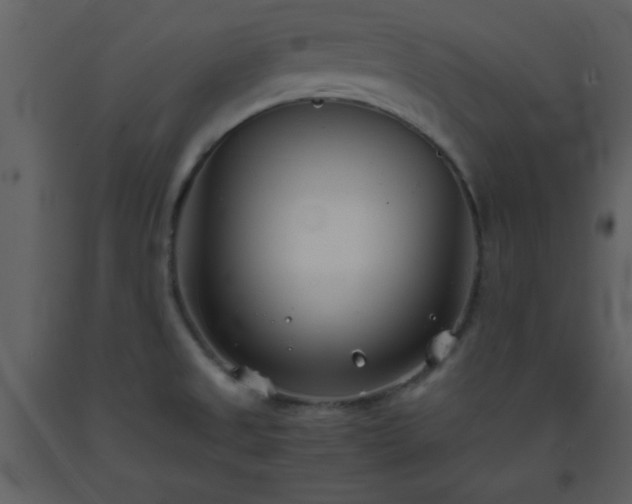 X0000093571525200710221433