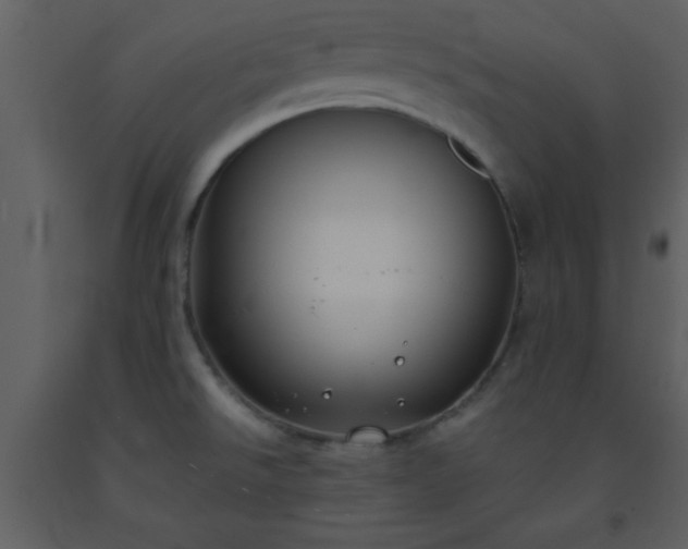 X0000093571526200710221433