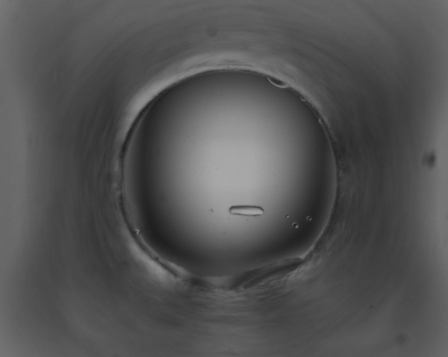 X0000093571527200710221433
