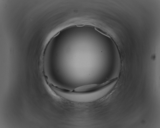 X0000093571528200710221433